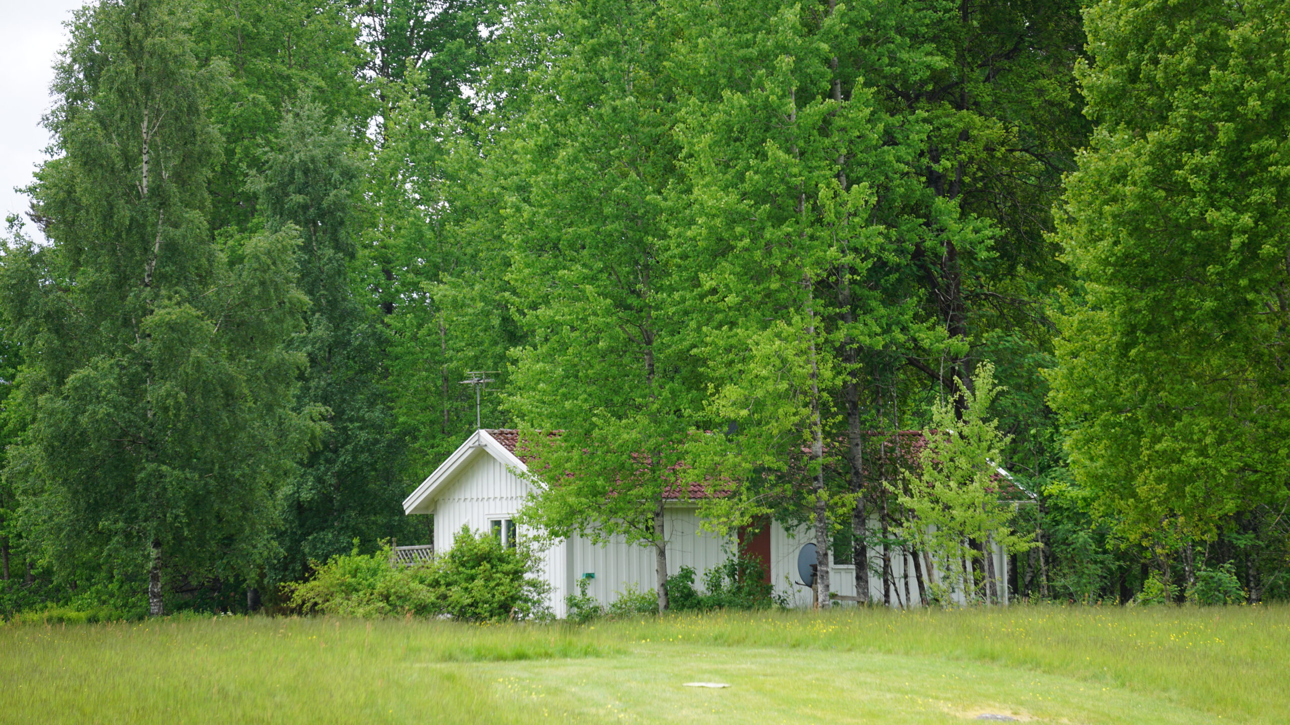 DSC02753